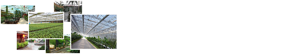 24小時免費咨詢、免費技術指導